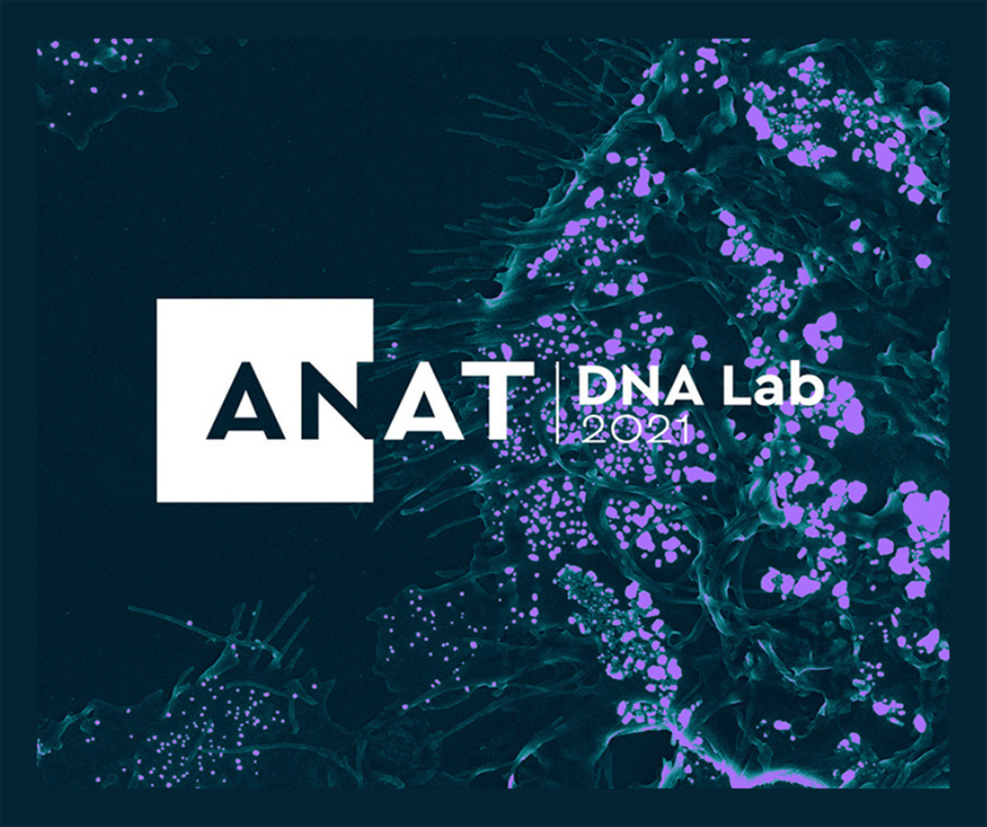 Promotion image for ANAT DNA lab. Image by Andrea Rassell.