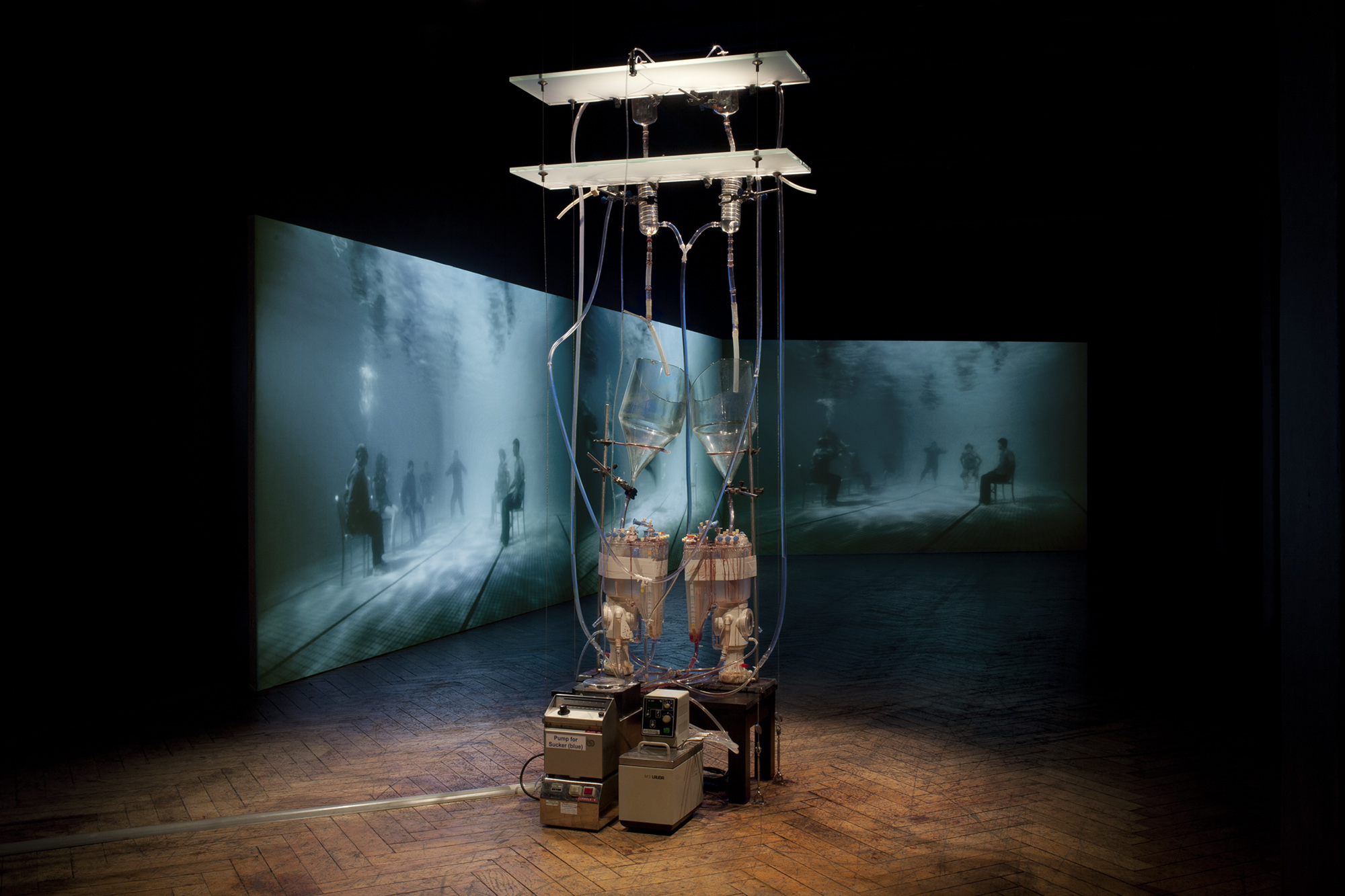 The Body is a Big Place, Helen Pynor and Peta Clancy, 2013. 3-channel video projection, heart perfusion device, live heart perfusion performance, single-channel video on monitor, soundscape by Gail Priest. Photo: Miha Fras. Image courtesy of the artists